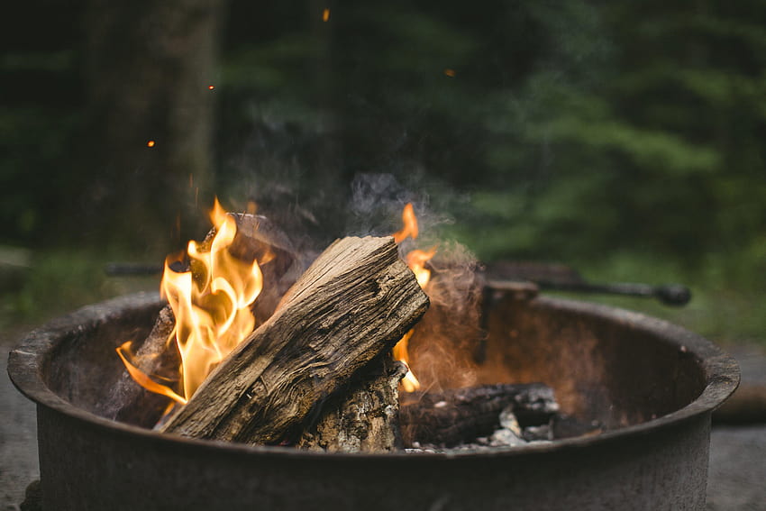: food, nature, wood, closeup, meat, fire, campfire, charcoal HD wallpaper