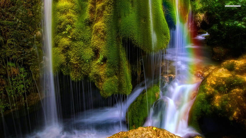 3 Tropical Waterfall Nature, rainbow rainforest HD wallpaper