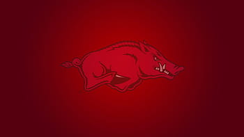 Arkansas Razorbacks Wallpapers 72 images