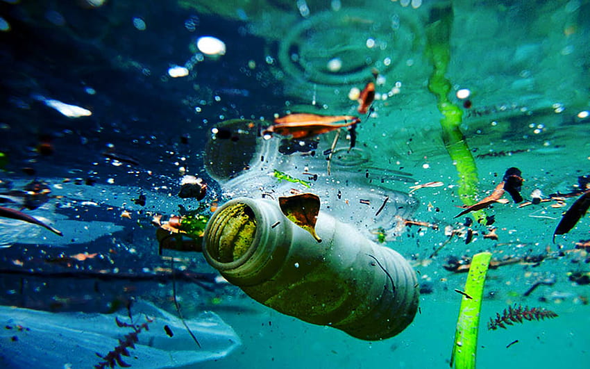플라스틱 오염, 해양 오염 HD 월페이퍼
