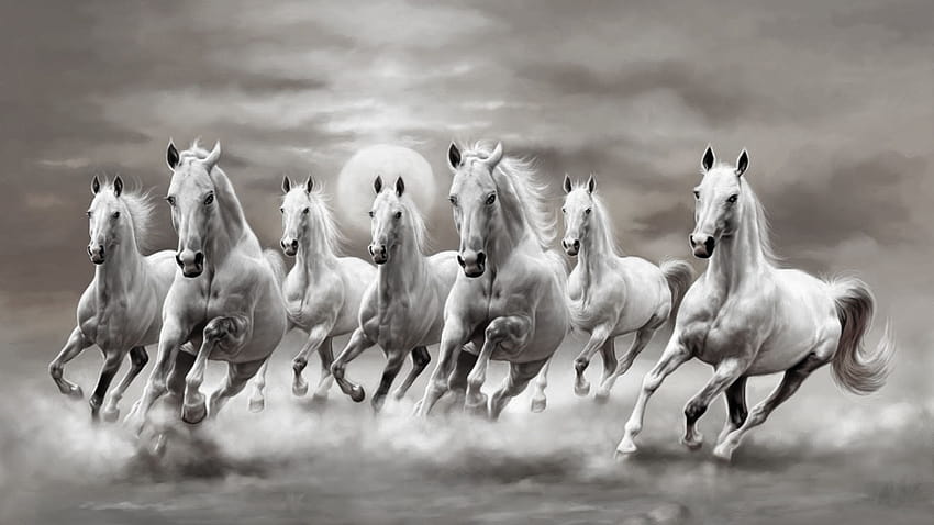 7 頭の馬の白黒、7 頭の走る馬の黒 高画質の壁紙