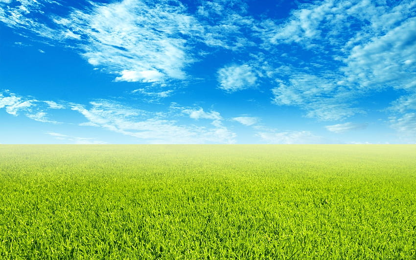 Sky and Grass, grass ground HD wallpaper
