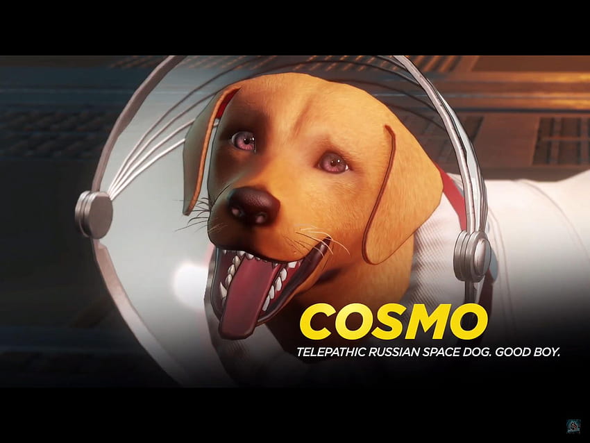 Ich bin vom Stuhl gefallen, als ich das gesehen habe. : MAU3, Cosmo das Weltraumhund-Wunder HD-Hintergrundbild