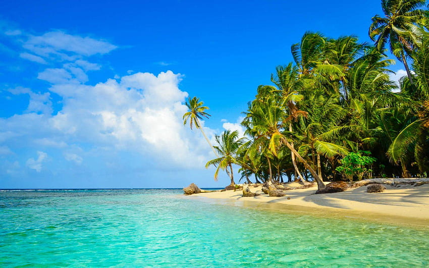 Quiz: Which Remote Island Should You Visit?, tropical island coast of panama HD wallpaper