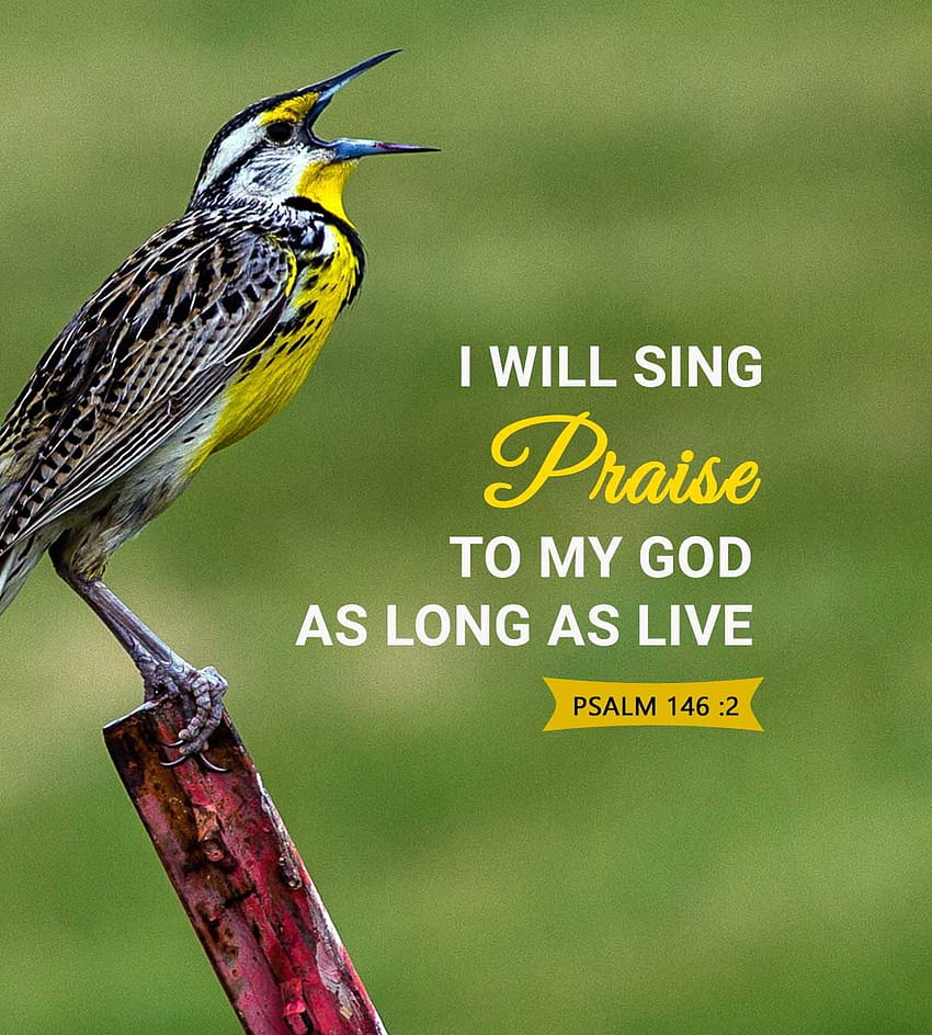 Je chanterai les louanges de mon dieu aussi longtemps que je vivrai - chrétien anglais Fond d'écran de téléphone HD