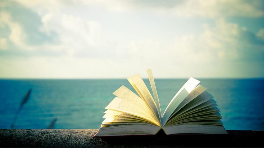 Seven books you should read this summer TVOorg, summer books HD wallpaper