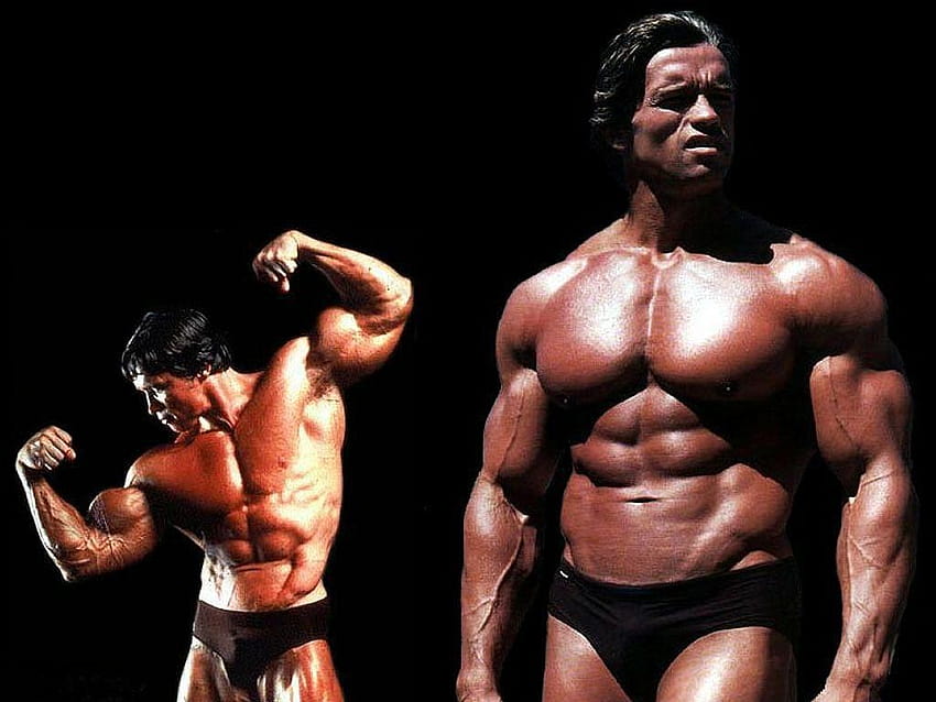 arnold bodybuilding wallpaper conquer