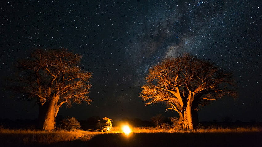 Почивки в пустинята Калахари в Ботсвана със Steppes Travel HD тапет