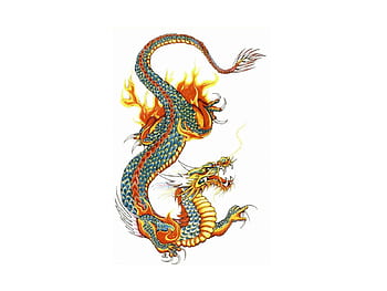 Dragon Tattoos Graphics Vector Art  Graphics  freevectorcom