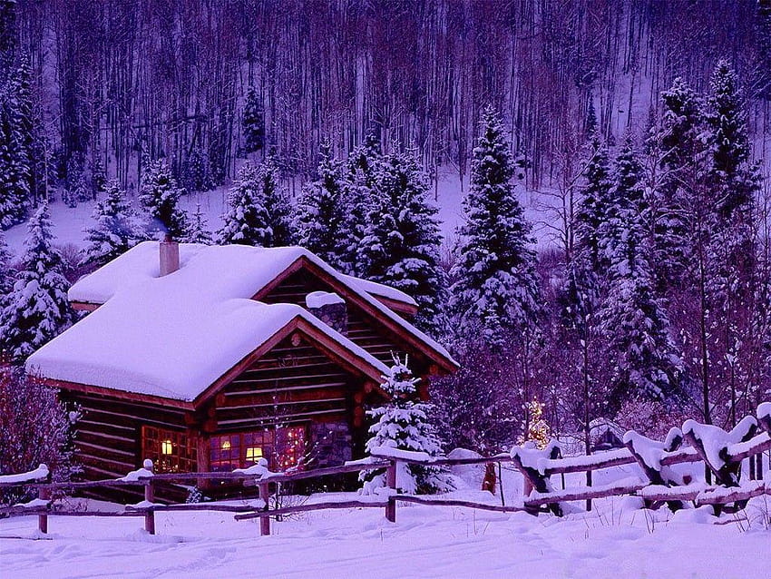 Frost Nature Frozen Cabins Wooden Trees Winter Cold Houses, frozen winter house HD wallpaper