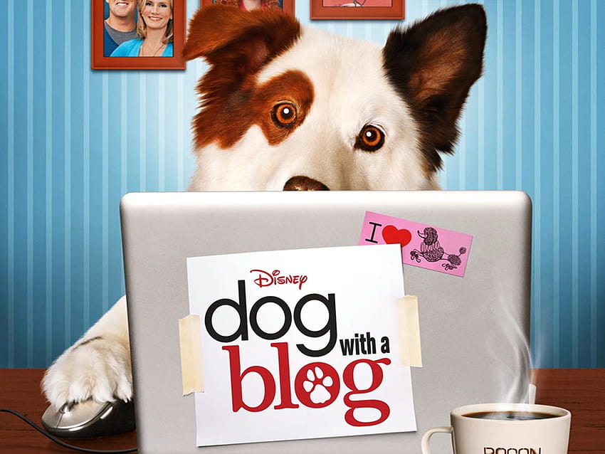 Dog with a blog dowload [1920x1440] for your , Mobile & Tablet HD