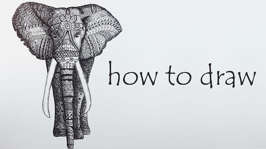 DIY Tutorial ♥ ELEPHANT Speed Drawing ♥ Black & White, zentangle elephants HD wallpaper