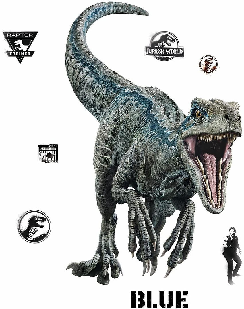 York Wallcoverings Jurassic World: Blue Velociraptor Giant Wall Decals Dinosaurus Stiker Dekorasi: Rumah & Dapur, biru raptor wallpaper ponsel HD