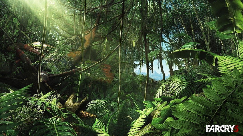 Jungle A2, тропическа гора ултра HD тапет