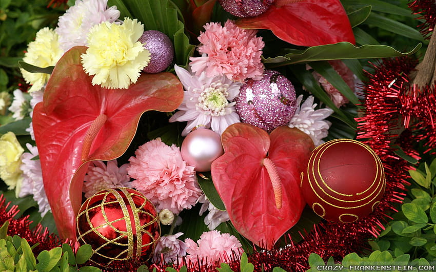 Christmas Flowers, christmas floral HD wallpaper