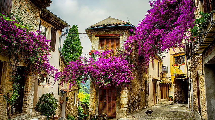Provence France, spring france HD wallpaper