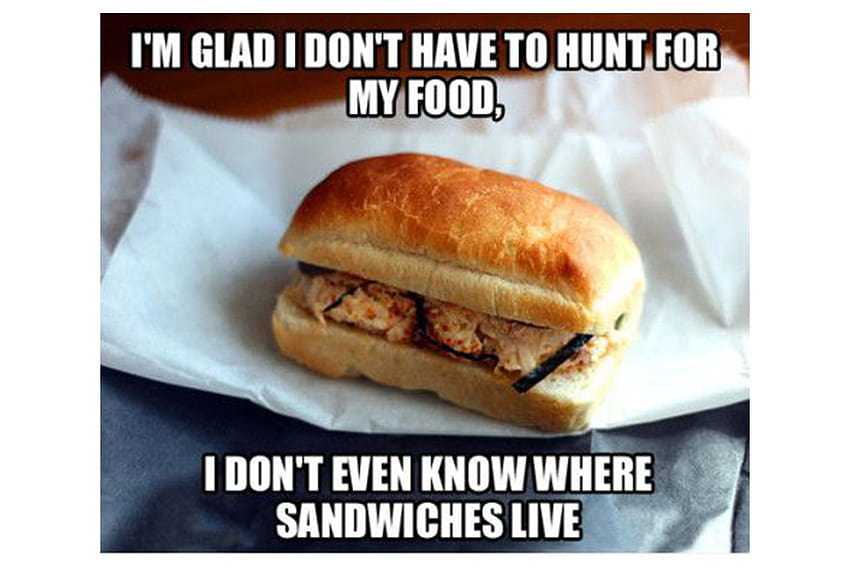 27 of the funniest food memes HD wallpaper