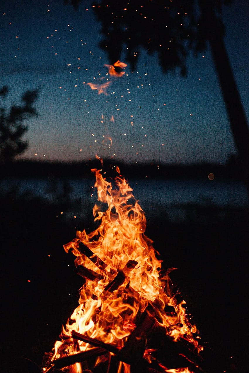 50 Best Campfire [], winter bonfire HD phone wallpaper