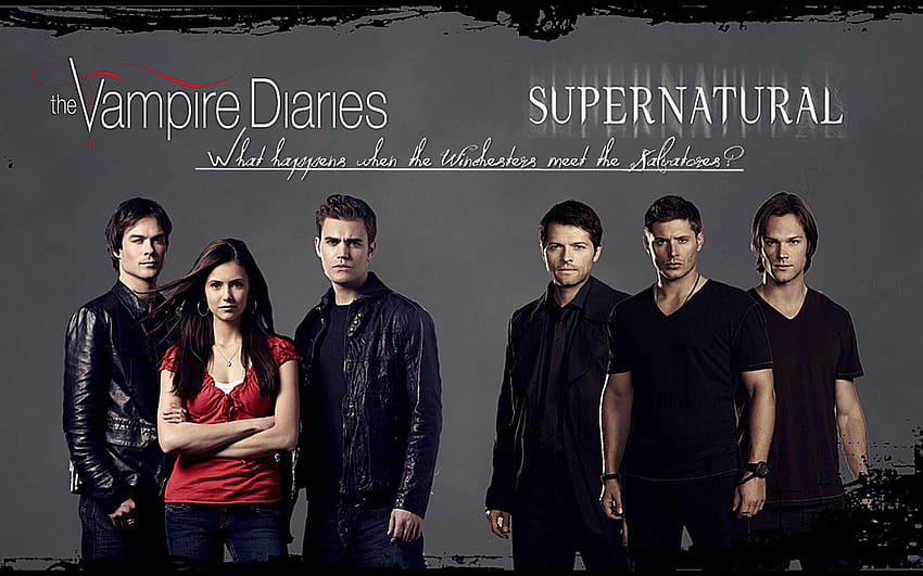 Damon Salvatore Vampire Diaries, the vampire diaries quotes HD wallpaper