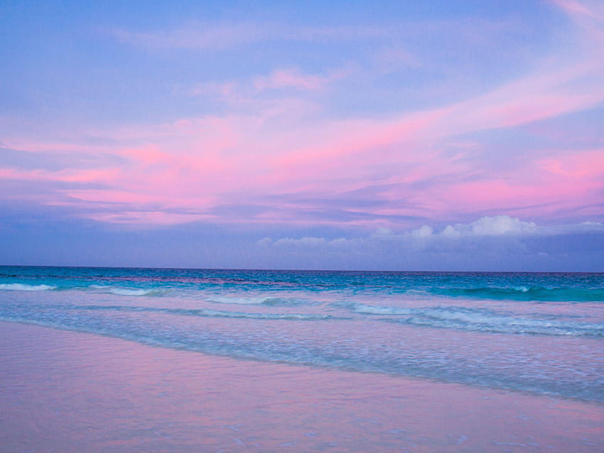 ピンクビーチ、ピンクの海の美学 高画質の壁紙