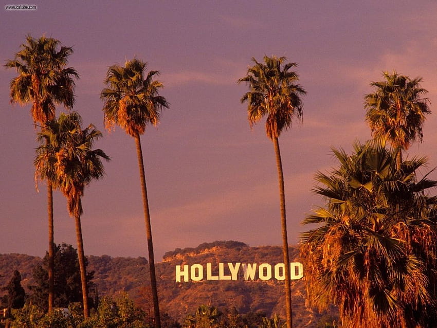 Znak Hollywood w Los Angeles Tapeta HD