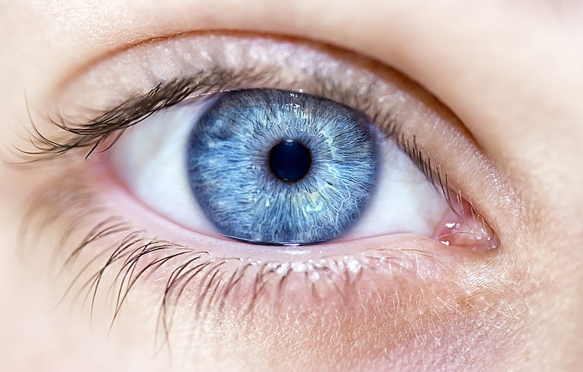 Frau, blaues Auge, Pupille, Abschnitt Makro HD-Hintergrundbild