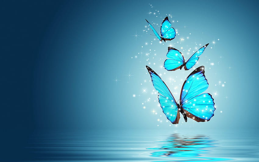 3D Butterflies bonito butterfly fairies fairy fairy lights glow  magical HD phone wallpaper  Peakpx