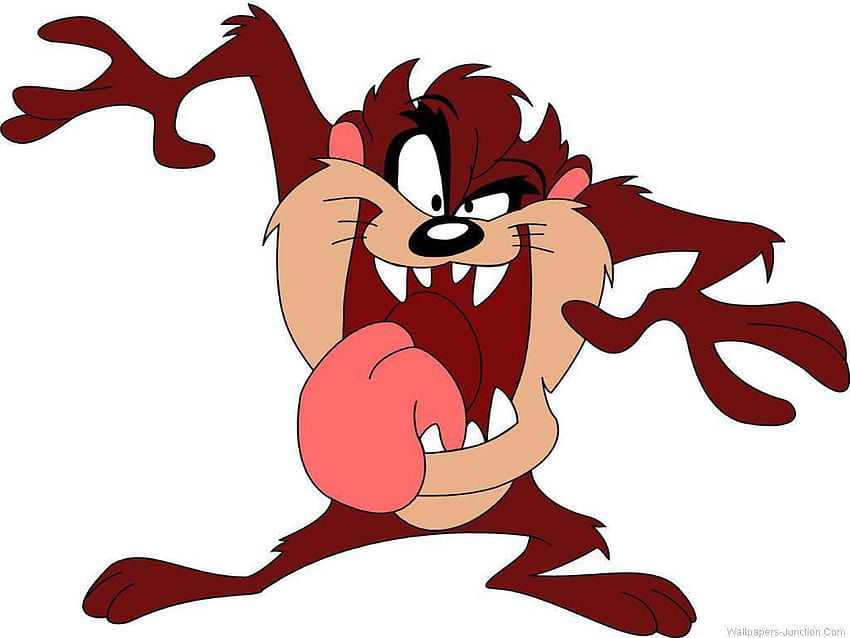 Tasmanischer Teufel, Taz-Manie HD-Hintergrundbild