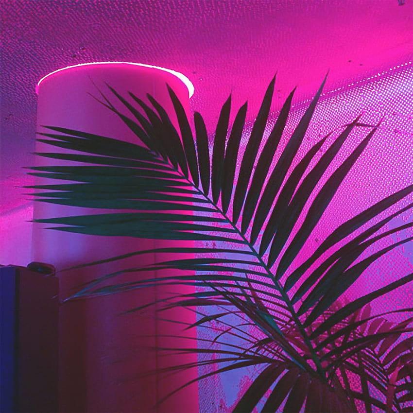 Neon pink grunge aesthetic HD phone wallpaper | Pxfuel