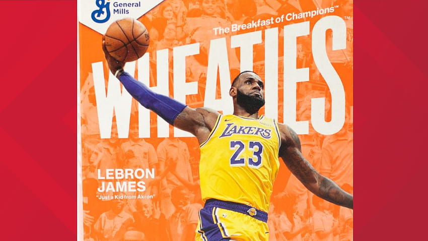 LeBron James shares 'how it started, how it's going' meme, los angeles lakers 2020 nba finals champions HD wallpaper