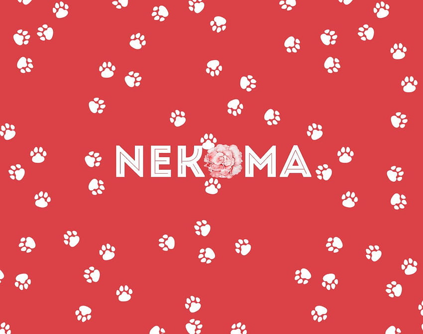 Nekoma high HD wallpaper | Pxfuel