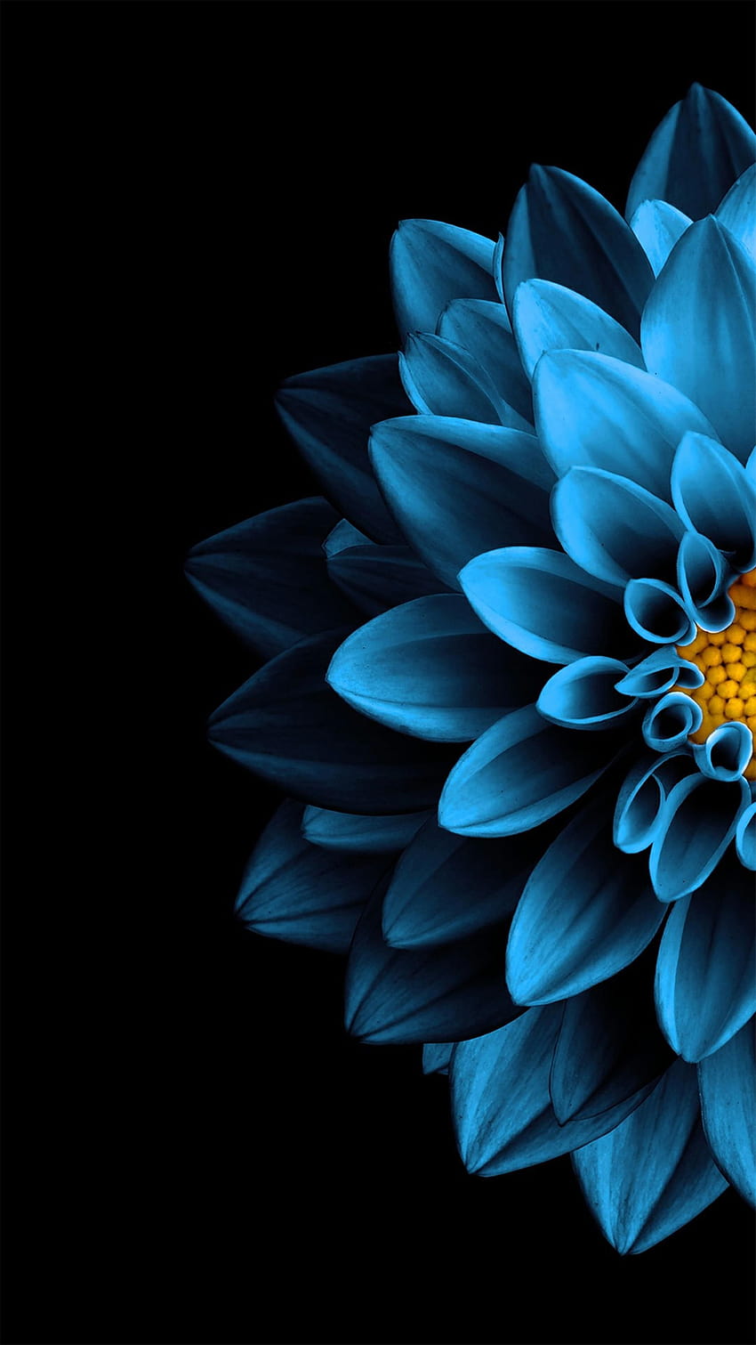 AMOLED Flower, blue amoled HD phone wallpaper