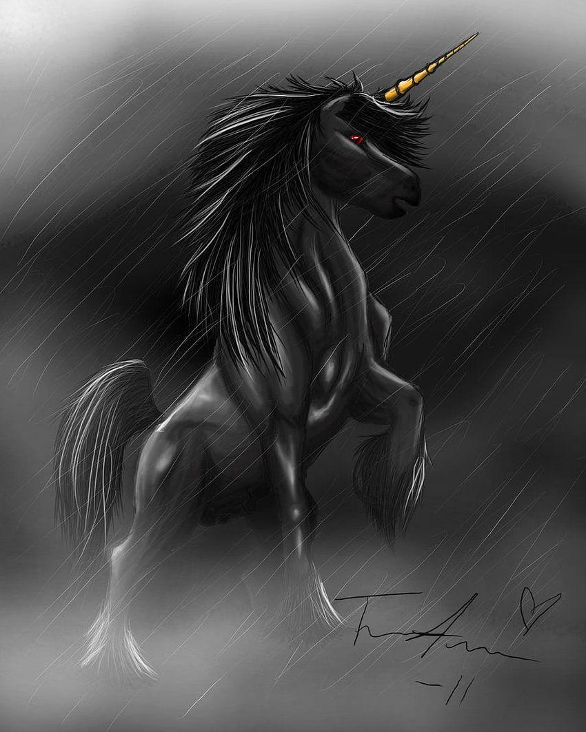 Unicorno scuro, unicorno nero Sfondo del telefono HD