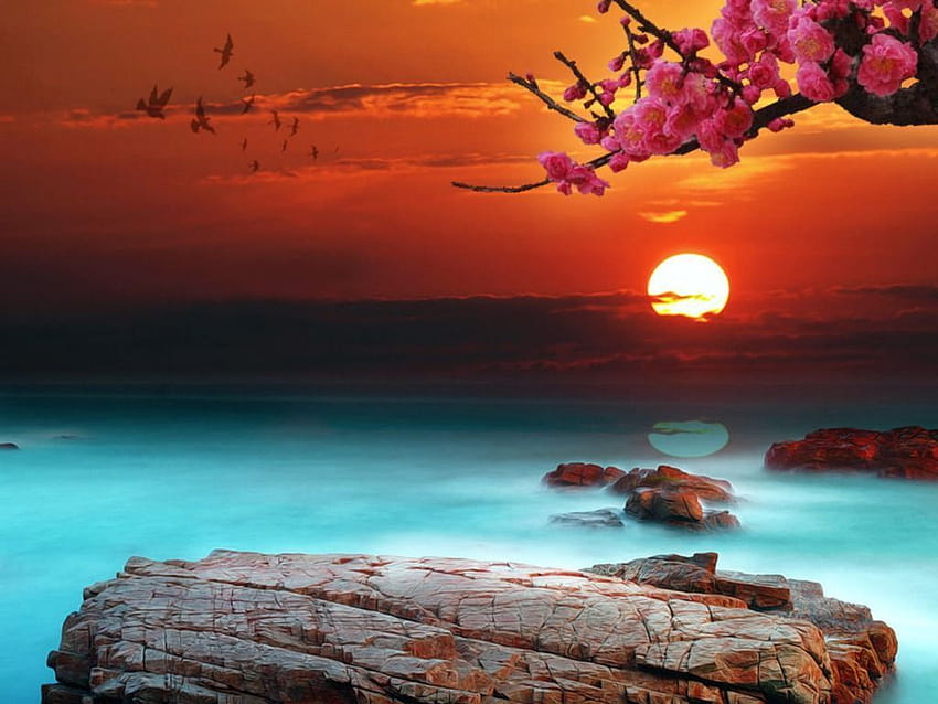 Sunset Backgrounds Group, sunset in spring HD wallpaper