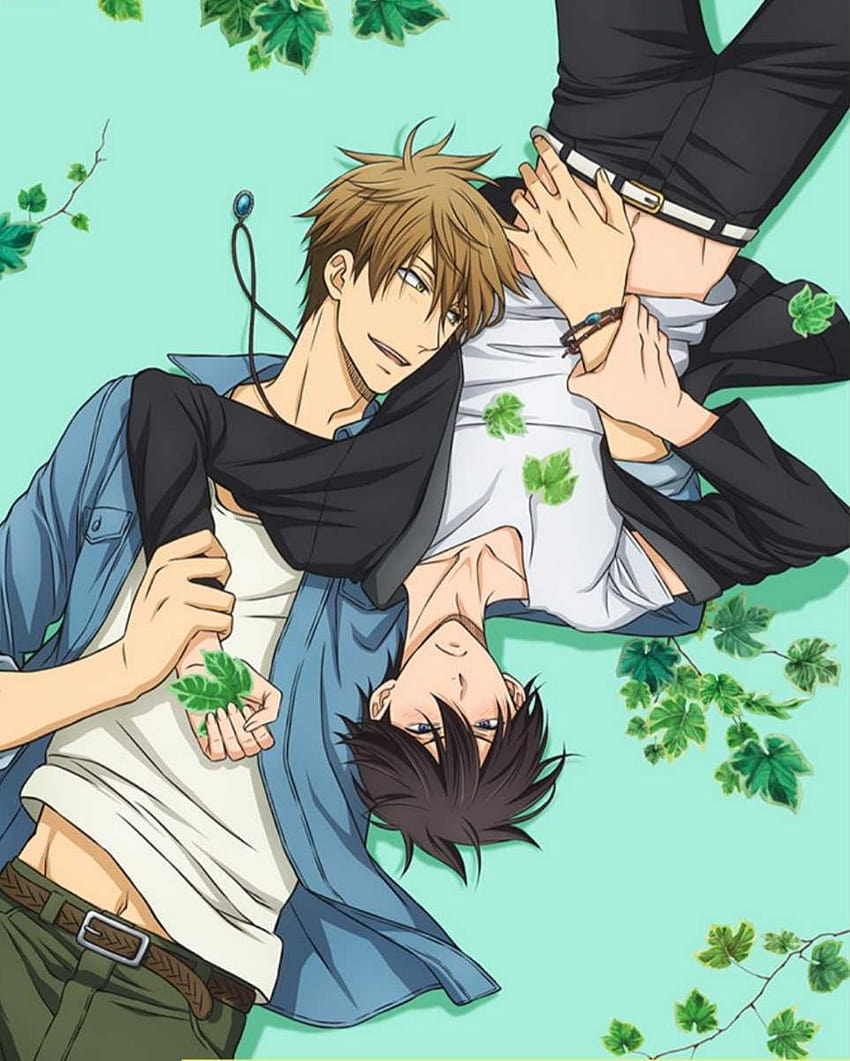boys love, ichii ni odosarete imasu, dakaretai otoko and anime, dakaichi anime HD phone wallpaper