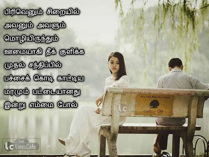 Lovely Sad Love Quotes In Tamil With Tamil Sad HD Wallpaper Pxfuel