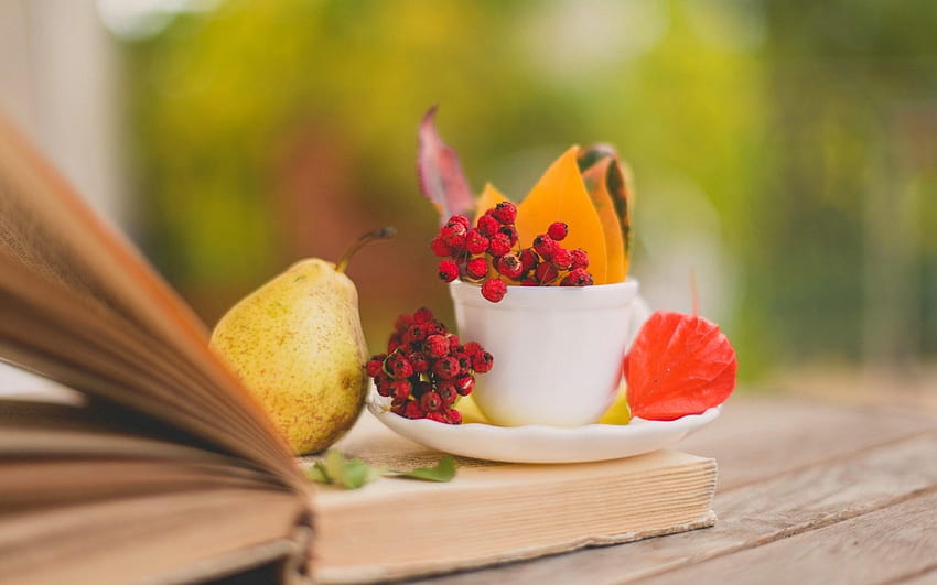 Book Pear Leaves Cup Berries Red Autumn, autumn berries HD wallpaper