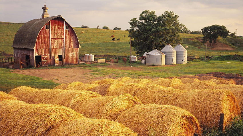 Life On the Farm Country, farm life HD wallpaper