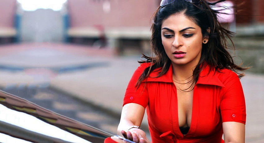 Hot Neeru Bajwa In Red Shirt, neeru bajwa for mobile HD wallpaper | Pxfuel