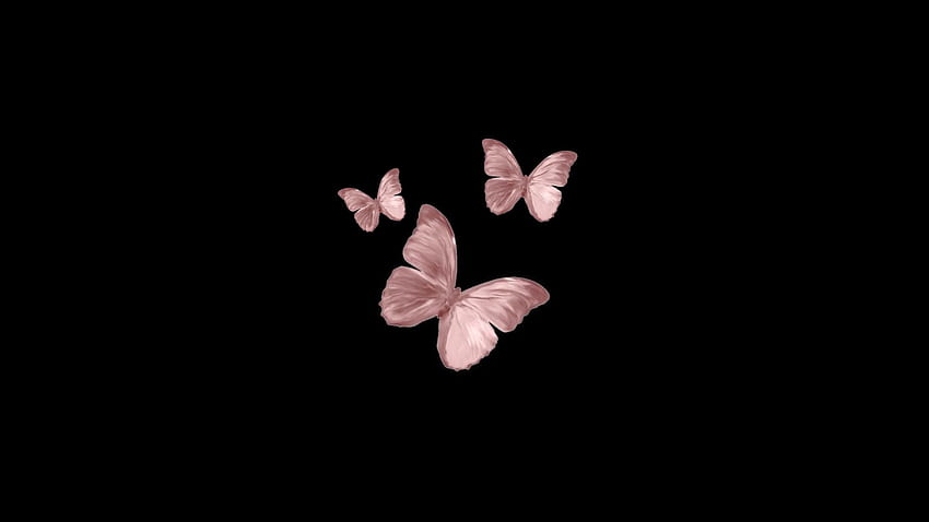 Butterfly laptop/tła w 2021 roku, estetyczny laptop motyl różowy Tapeta HD
