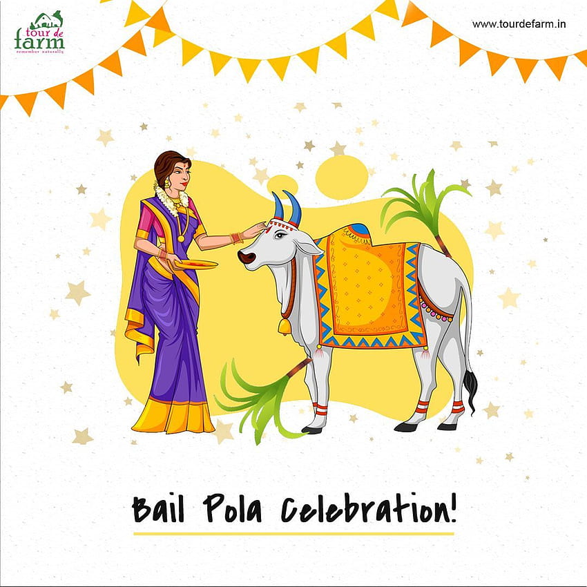 Bail Pola' Celebration! It's a humbling experience of how farmers don't forget to thank the animal for the… HD phone wallpaper