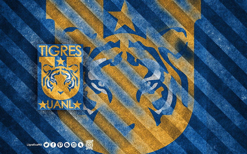 Tigres Fondos Uanl, tigres uanl HD duvar kağıdı