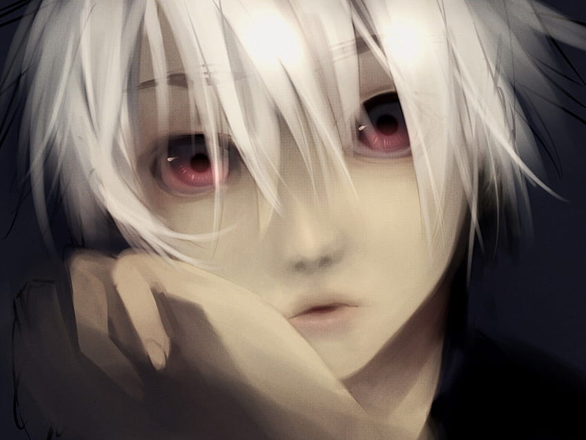 Anime Boy With White Hair And Red Eyes, anime kid hair grey HD wallpaper |  Pxfuel