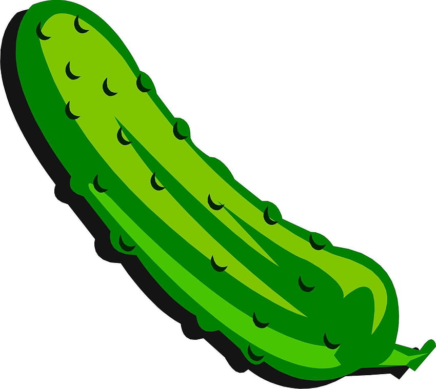 Best 4 Pickle on Hip, dill pickle HD wallpaper
