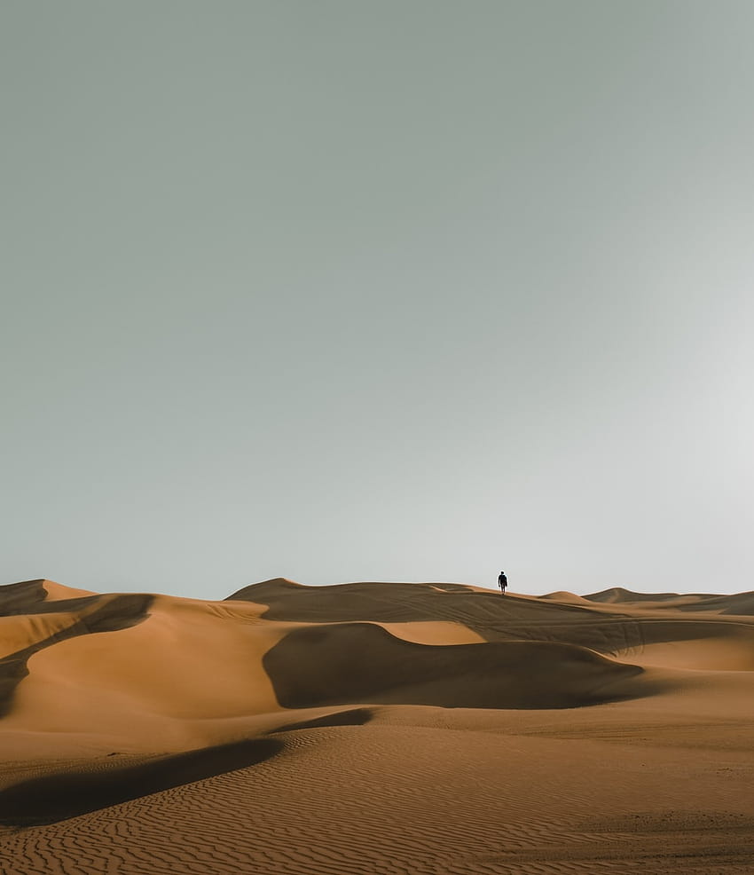 50 Arab, arab desert iphone x HD phone wallpaper