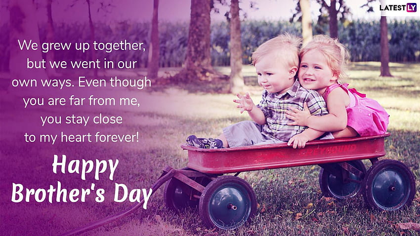 Brothers Day Wishes Happy Brothers Day Quotes With Images  We Wishes
