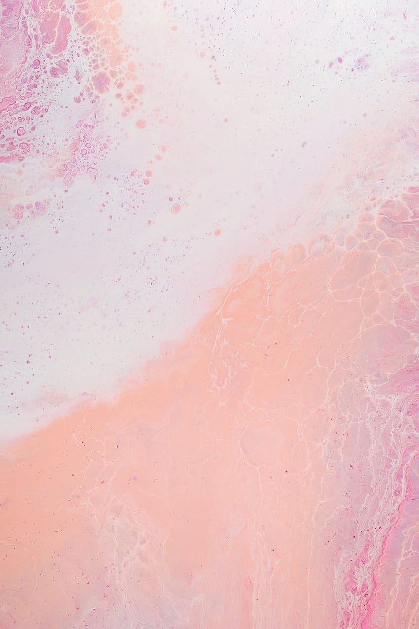 pastel minimalist floral HD phone wallpaper