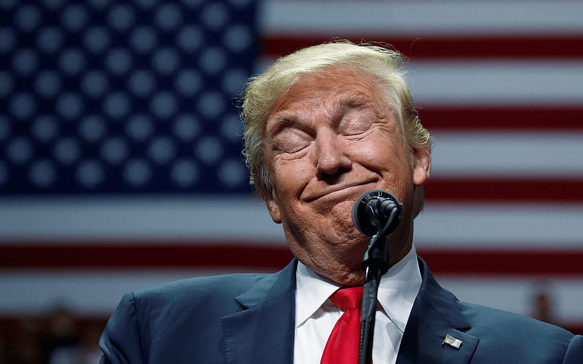 Donald Trump engraçado postado por Ethan Peltier, engraçado donald trump papel de parede HD