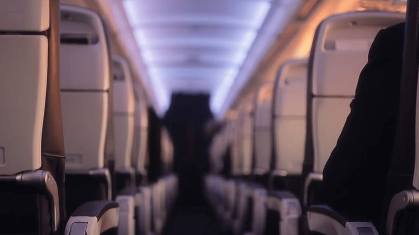 Flight cabin seats with passengers, airplane cabin HD wallpaper
