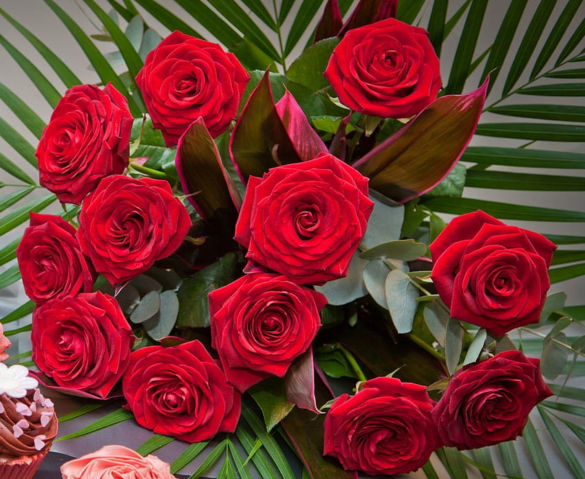 żółta róża: Of Red Roses, czerwona róża miłość singiel Tapeta HD